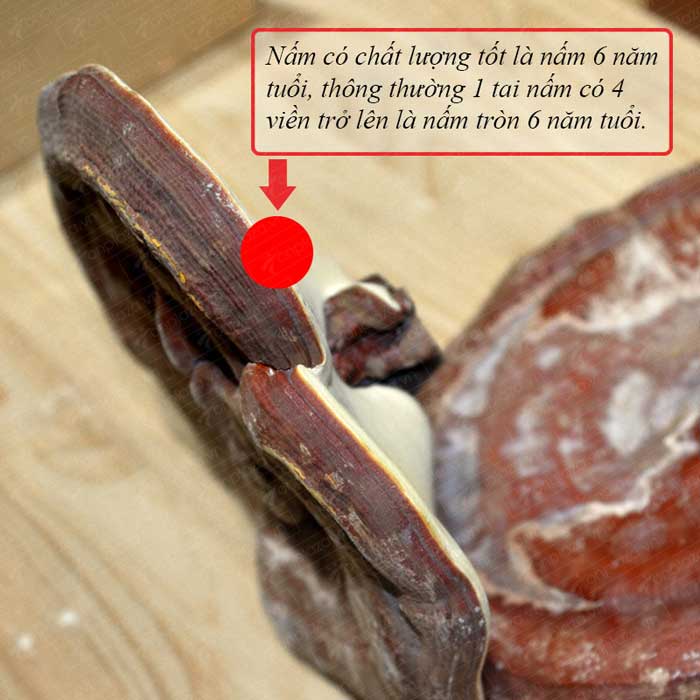 nam-linh-chi-han-quoc-loai-thuong-hang_9