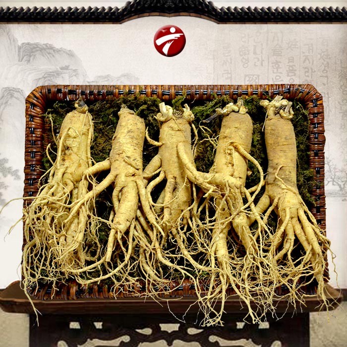 nhan-sam-han-quoc-5-cu-1kg-0